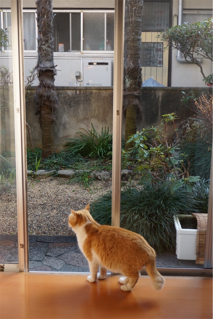 f:id:annesea:20151231192420j:image f:id:annesea:20151231192420j:image