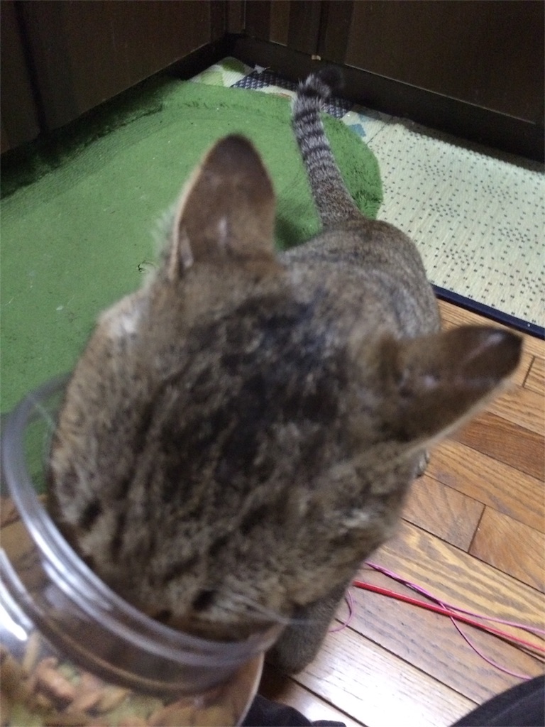 f:id:annesea:20160114220222j:image f:id:annesea:20160114220222j:image