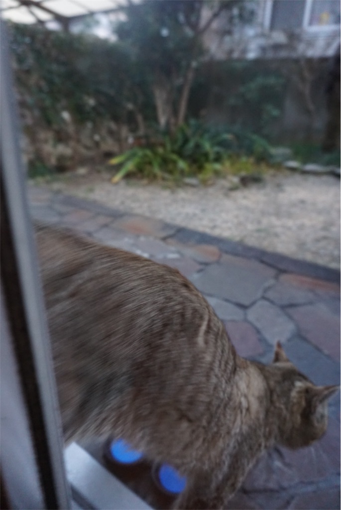 f:id:annesea:20160228182601j:image f:id:annesea:20160228182601j:image
