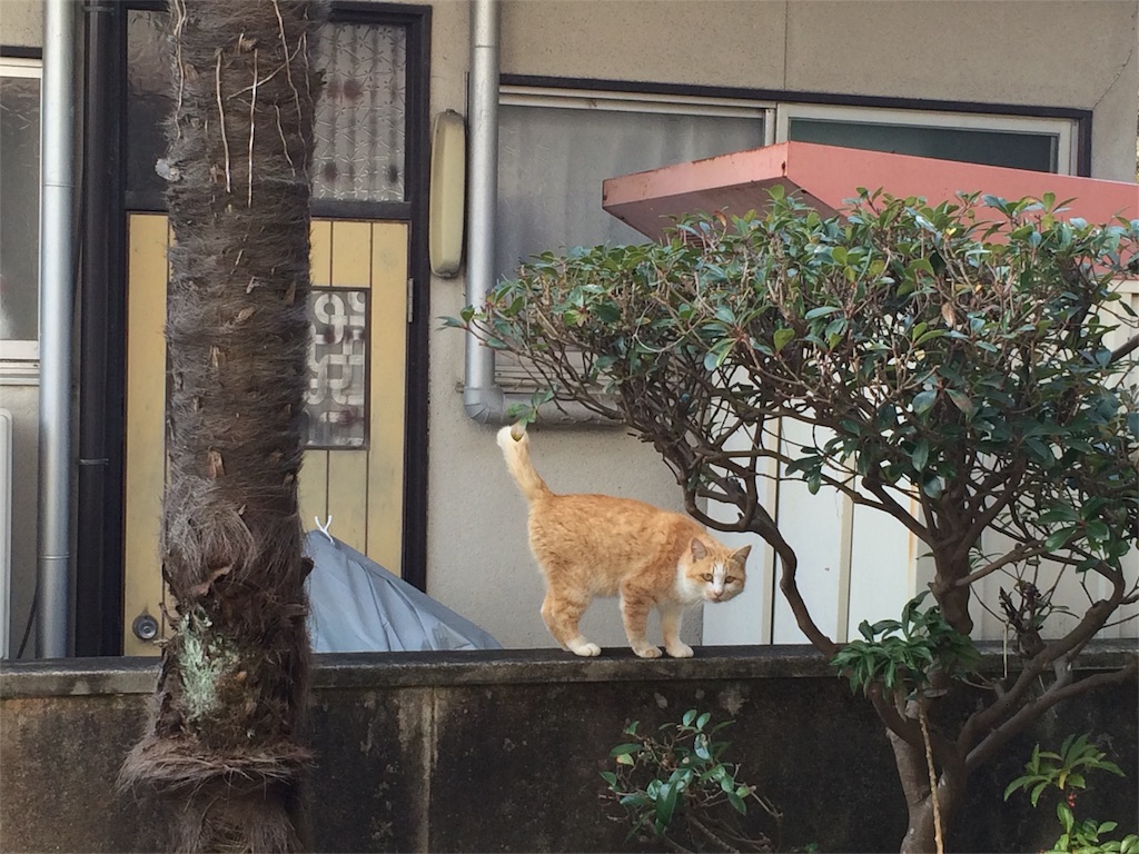 f:id:annesea:20160307203046j:image f:id:annesea:20160307203046j:image