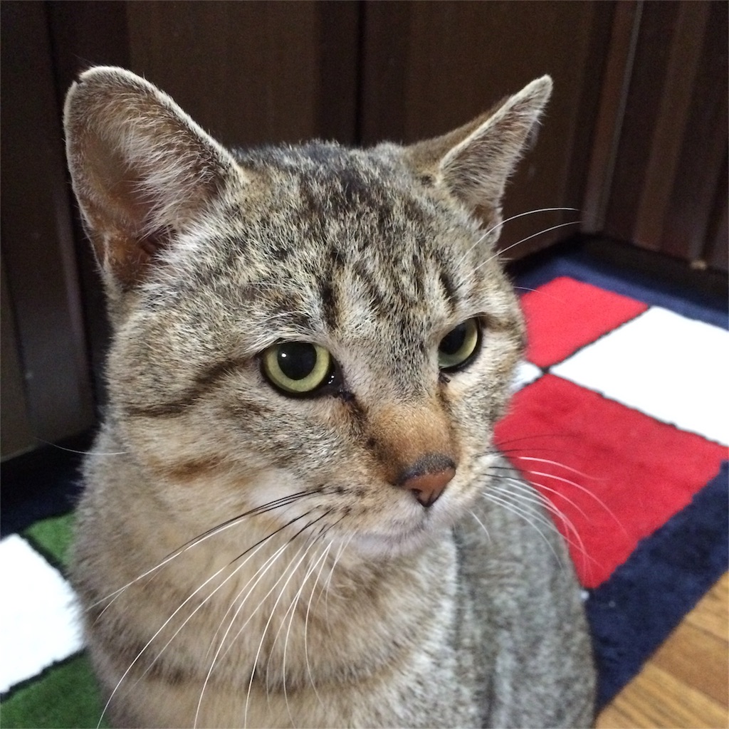 f:id:annesea:20160313212901j:image f:id:annesea:20160313212901j:image