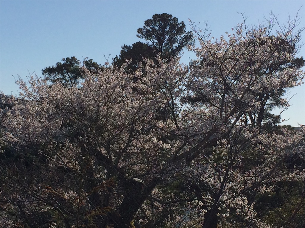 f:id:annesea:20160321211323j:image f:id:annesea:20160321211323j:image