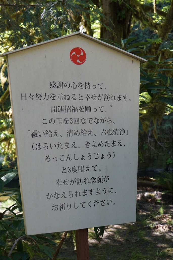 f:id:annesea:20160519061013j:image f:id:annesea:20160519061013j:image