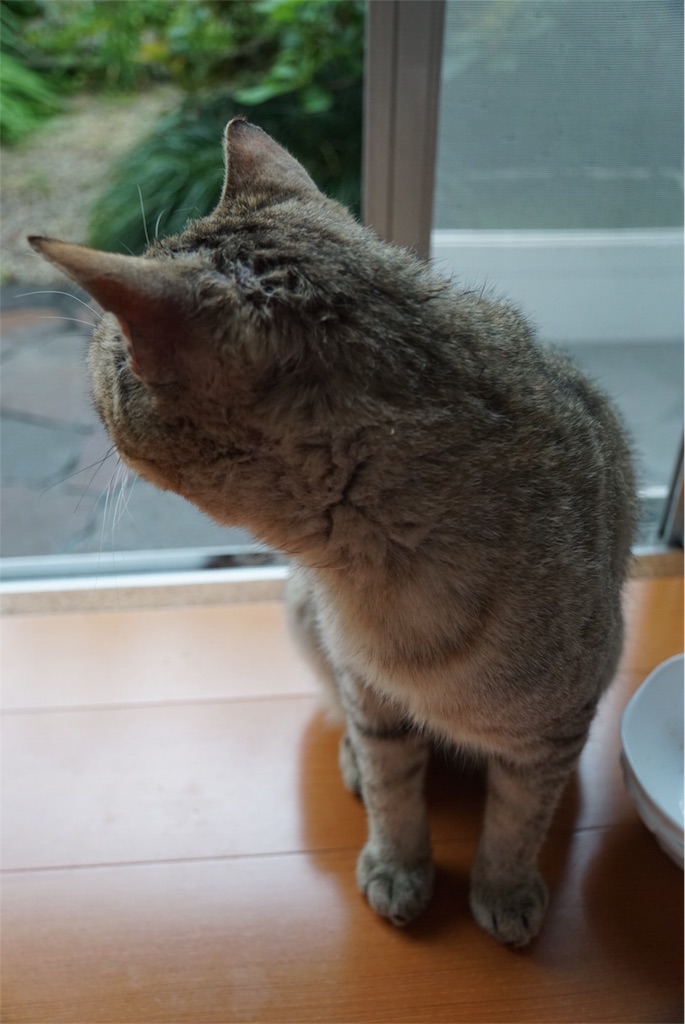 f:id:annesea:20160605194619j:image f:id:annesea:20160605194619j:image