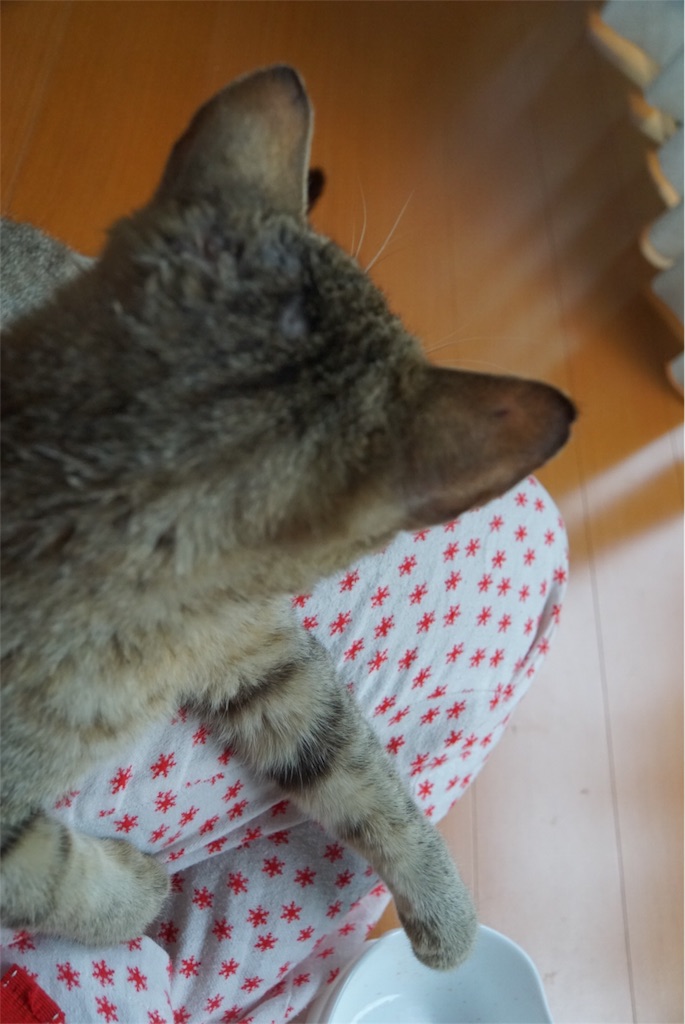 f:id:annesea:20160605194739j:image f:id:annesea:20160605194739j:image