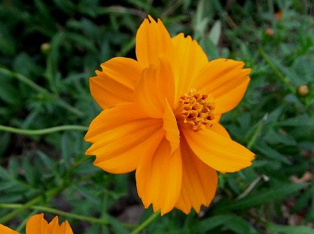 f:id:annhobby:20111001173455j:image f:id:annhobby:20111001173455j:image