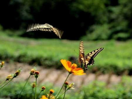 f:id:annhobby:20121010212032j:image f:id:annhobby:20121010212032j:image