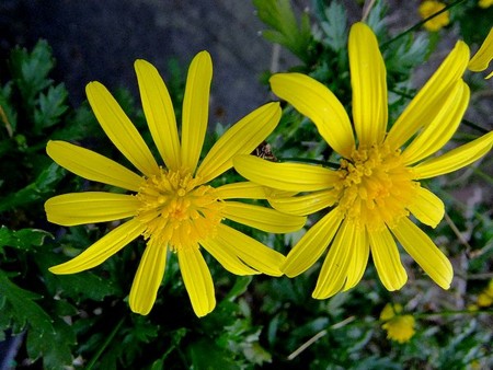 f:id:annhobby:20121020224005j:image f:id:annhobby:20121020224005j:image