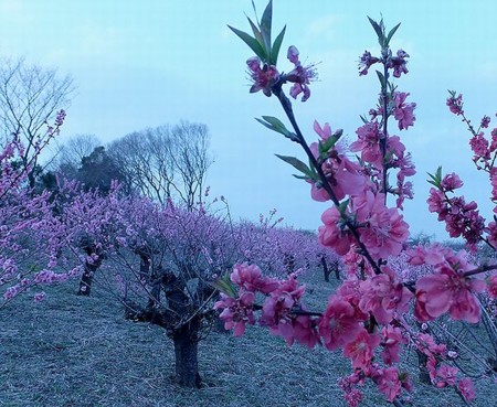 f:id:annhobby:20130324223022j:image f:id:annhobby:20130324223022j:image