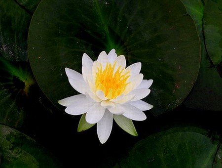 f:id:annhobby:20130420211737j:image f:id:annhobby:20130420211737j:image