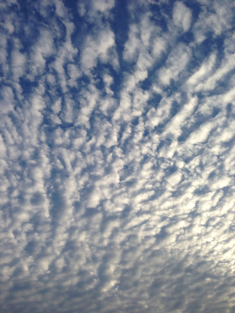 f:id:anoco:20130101223835j:plain f:id:anoco:20130101223835j:plain