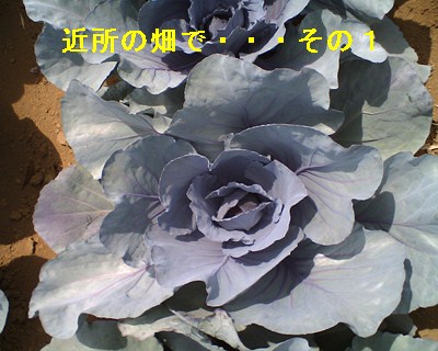 f:id:anomiyakun:20130609112323j:plain f:id:anomiyakun:20130609112323j:plain