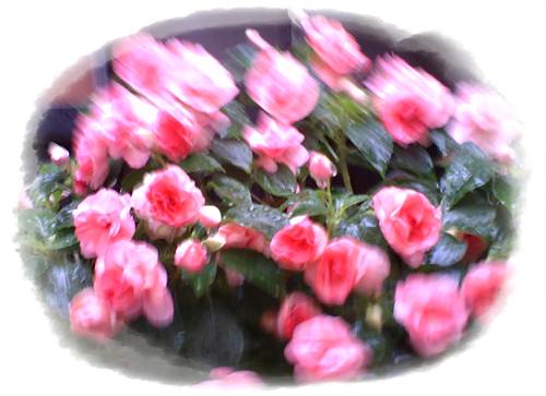 f:id:anomiyakun:20130613133827j:plain f:id:anomiyakun:20130613133827j:plain