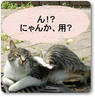 f:id:anomiyakun:20130626202541j:plain f:id:anomiyakun:20130626202541j:plain