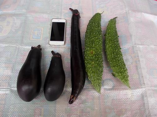 f:id:anomiyakun:20130804164716j:plain f:id:anomiyakun:20130804164716j:plain