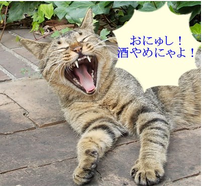 f:id:anomiyakun:20131002210949j:plain f:id:anomiyakun:20131002210949j:plain