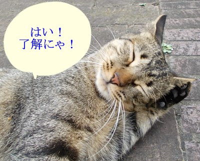 f:id:anomiyakun:20131003185018j:plain f:id:anomiyakun:20131003185018j:plain