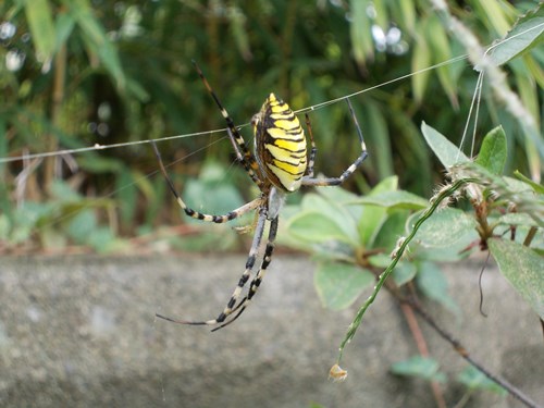 f:id:anomiyakun:20131006202730j:plain f:id:anomiyakun:20131006202730j:plain