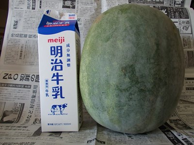 f:id:anomiyakun:20131013193309j:plain f:id:anomiyakun:20131013193309j:plain