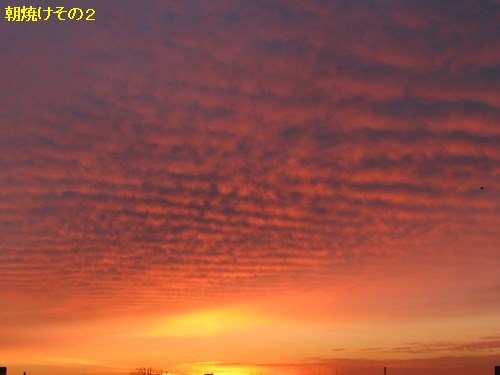 f:id:anomiyakun:20131023201826j:plain f:id:anomiyakun:20131023201826j:plain