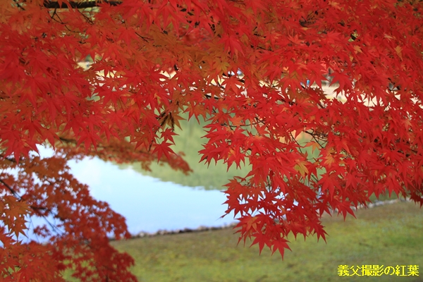 f:id:anomiyakun:20131103195720j:plain f:id:anomiyakun:20131103195720j:plain