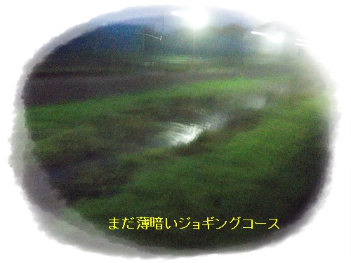f:id:anomiyakun:20131106173715j:plain f:id:anomiyakun:20131106173715j:plain