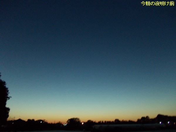 f:id:anomiyakun:20131108152556j:plain f:id:anomiyakun:20131108152556j:plain