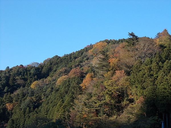 f:id:anomiyakun:20131123211641j:plain f:id:anomiyakun:20131123211641j:plain