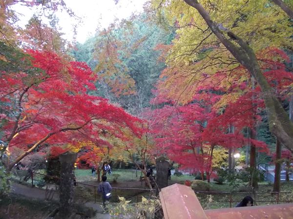f:id:anomiyakun:20131123211722j:plain f:id:anomiyakun:20131123211722j:plain