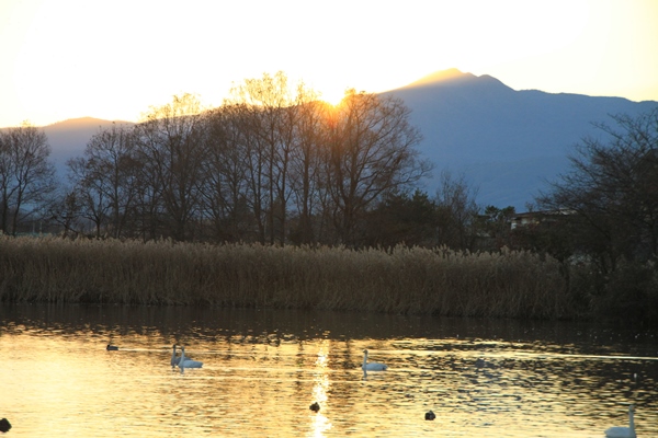 f:id:anomiyakun:20131128183736j:plain f:id:anomiyakun:20131128183736j:plain