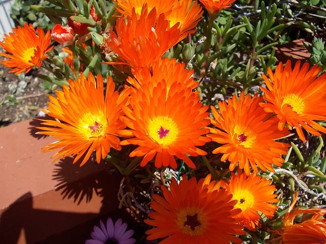 f:id:anomiyakun:20140412205315j:plain f:id:anomiyakun:20140412205315j:plain