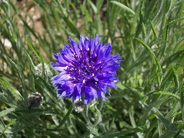 f:id:anomiyakun:20140412205341j:plain f:id:anomiyakun:20140412205341j:plain