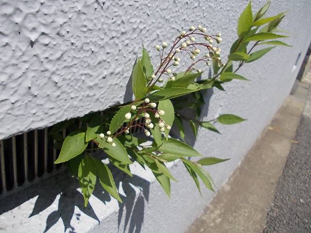 f:id:anomiyakun:20140412205411j:plain f:id:anomiyakun:20140412205411j:plain