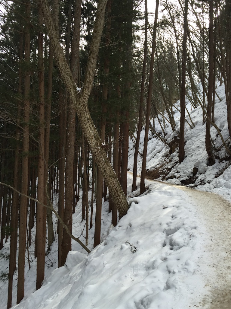 f:id:anotabi:20151216231441j:image f:id:anotabi:20151216231441j:image