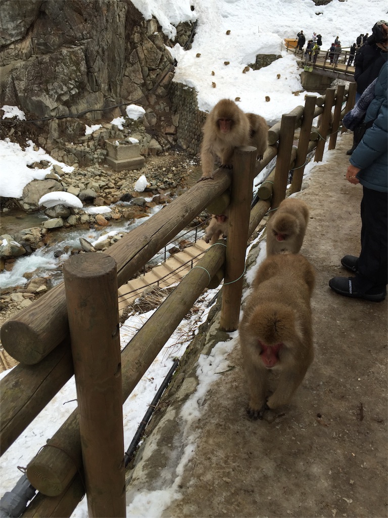 f:id:anotabi:20151216231552j:image f:id:anotabi:20151216231552j:image