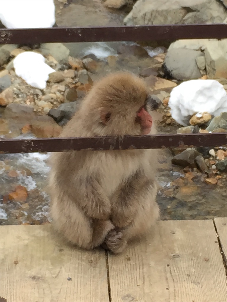 f:id:anotabi:20151216231712j:image f:id:anotabi:20151216231712j:image
