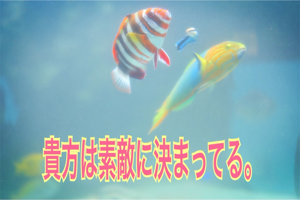 f:id:anpopon:20160611041440j:image f:id:anpopon:20160611041440j:image