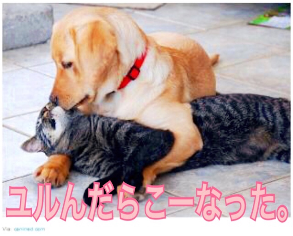 f:id:anpopon:20160612031624j:image f:id:anpopon:20160612031624j:image