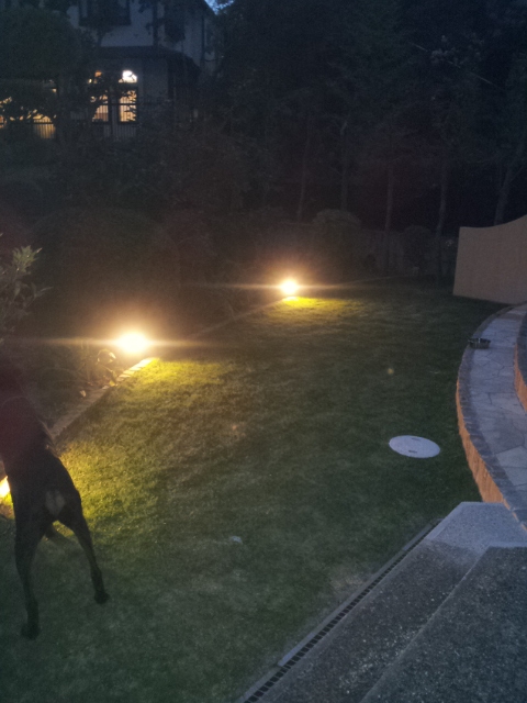 f:id:anri0508:20110731191538j:image:w360 f:id:anri0508:20110731191538j:image:w360