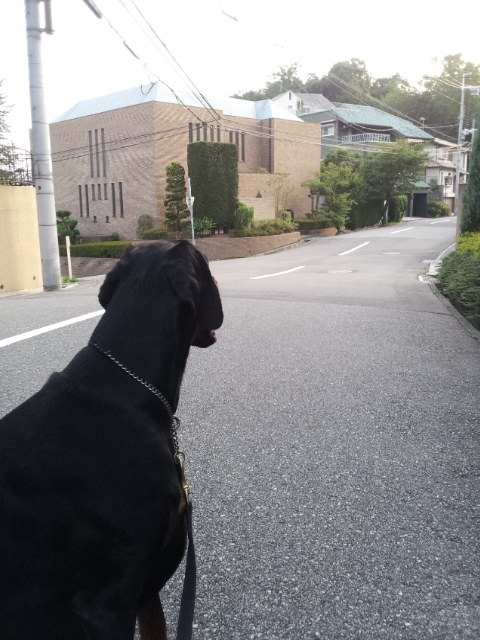 f:id:anri0508:20110816180659j:image:w360