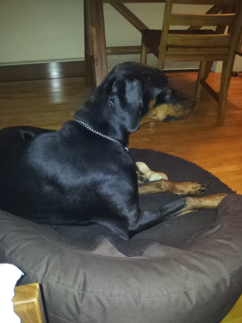 f:id:anri0508:20110817213423j:image:w360 f:id:anri0508:20110817213423j:image:w360