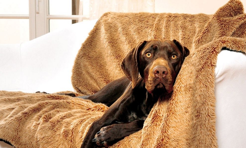 f:id:anri0508:20110823211038j:image:w360 f:id:anri0508:20110823211038j:image:w360