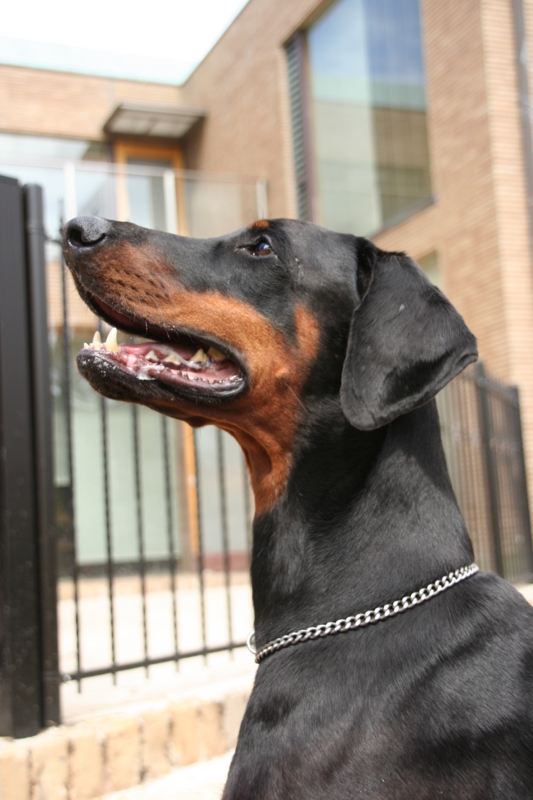 f:id:anri0508:20111003123631j:image:w360 f:id:anri0508:20111003123631j:image:w360