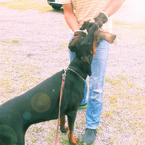 f:id:anri0508:20130622190536j:image:w360 f:id:anri0508:20130622190536j:image:w360