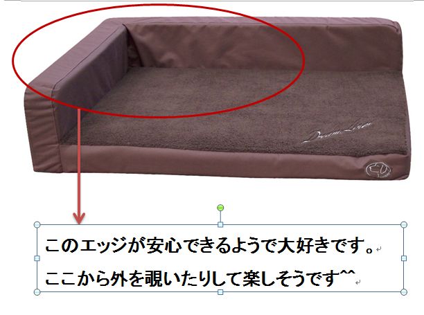 f:id:anri0508:20131026211341j:image:w360