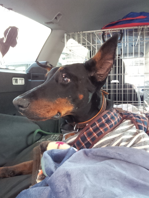 f:id:anri0508:20140309084958j:image:w360 f:id:anri0508:20140309084958j:image:w360