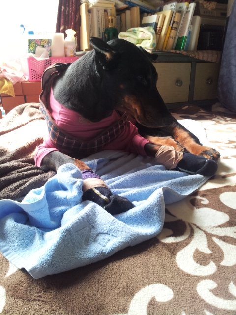 f:id:anri0508:20140316104912j:image:w360 f:id:anri0508:20140316104912j:image:w360