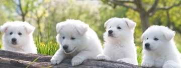 f:id:anri0508:20150422172231j:image:w360 f:id:anri0508:20150422172231j:image:w360