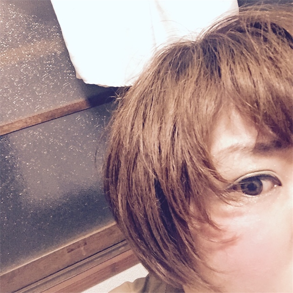 f:id:antiDOGGY:20160514214651j:image f:id:antiDOGGY:20160514214651j:image