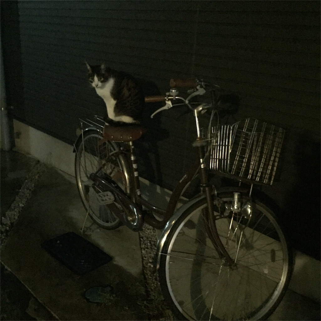 f:id:antiDOGGY:20160530231826j:image f:id:antiDOGGY:20160530231826j:image
